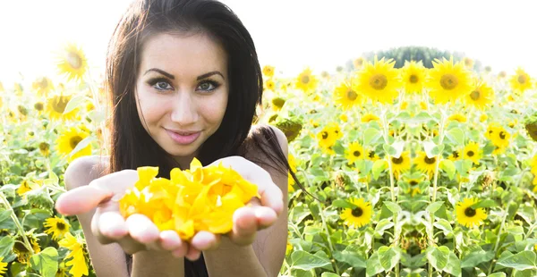 女性の手でヒマワリの花びらで — ストック写真