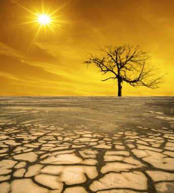 Ölüm vadisinde Kuru toprak. 