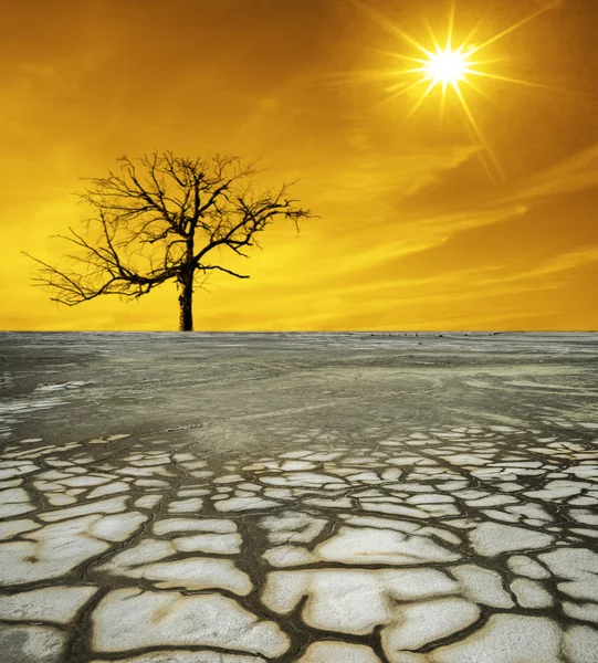 Ölüm vadisinde Kuru toprak. 