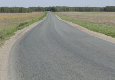 çayırlar boş yolda ormana 