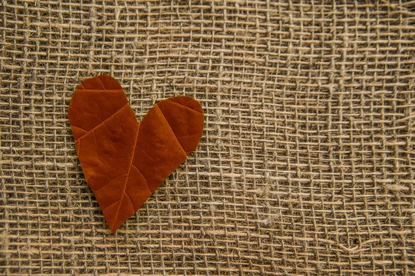 Leaf in form of  heart — Stock Photo, Image