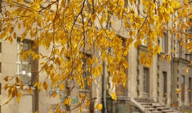Sonbaharda tarihi bina. Konut ve ağaç. sonbahar sezonu