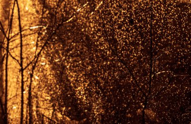 Direkt güneş ışığında kar yağışı. Turuncu güneş ışığı arka planında havada uçuşan ışıltılar gibi kar taneleri.