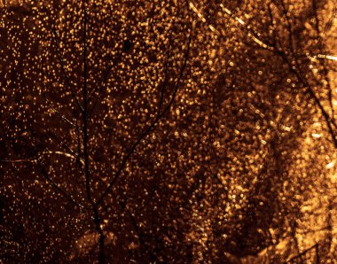 Direkt güneş ışığında kar yağışı. Turuncu güneş ışığı arka planında havada uçuşan ışıltılar gibi kar taneleri.