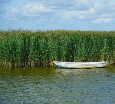Gölün yanındaki sazlıklarda metal bir tekne..