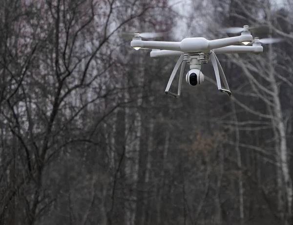 Drone Voando Floresta — Fotografia de Stock