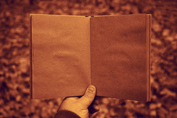 Hombre Sosteniendo Libro Abierto Sobre Fondo Del Parque Otoño Papel — Foto de Stock