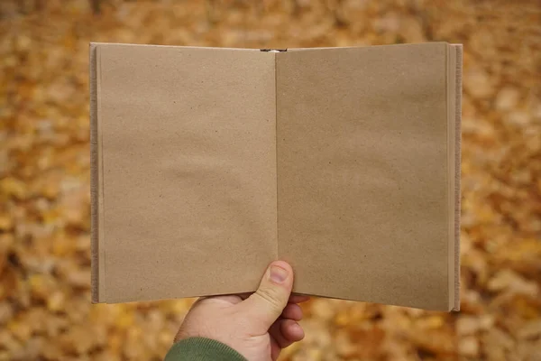 male hand holding open book on  autumn park background. Craft paper