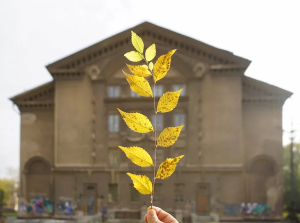 Zweige Der Hand Vor Historischem Hintergrund Herbstzeit — Stockfoto