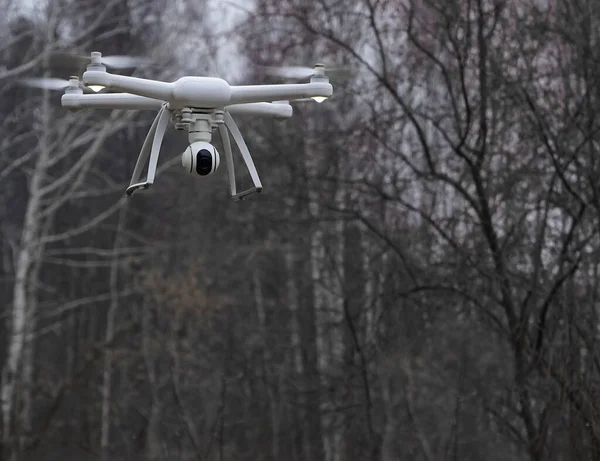 Drone Voando Floresta — Fotografia de Stock