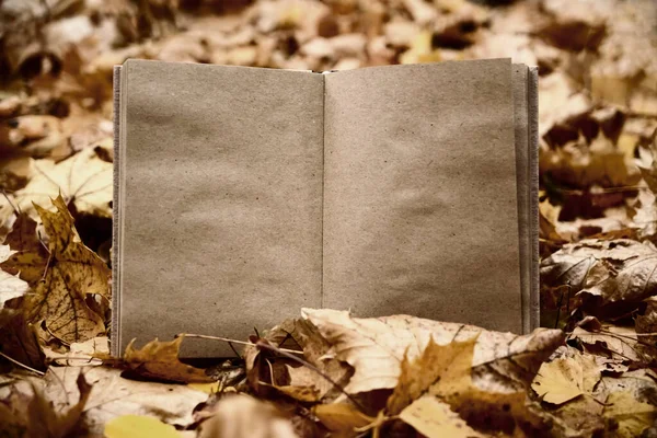 Open Boek Herfst Park Achtergrond Ambachtelijk Papier — Stockfoto