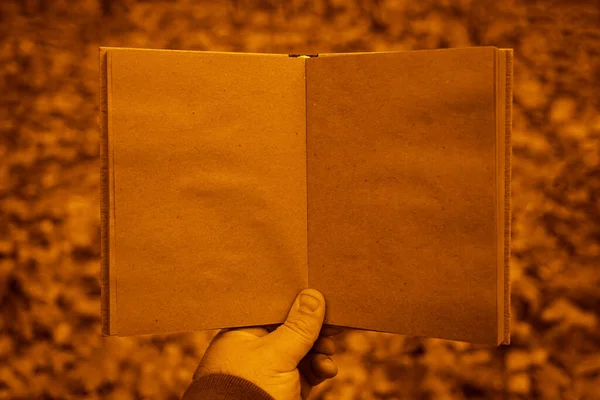 Homem Segurando Livro Aberto Fundo Parque Outono Papel Artesanal — Fotografia de Stock