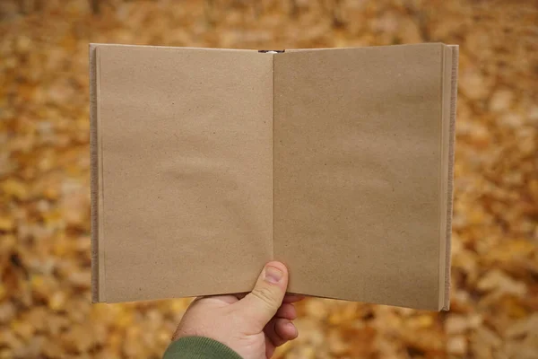 Erkek Eli Sonbahar Parkının Arka Planında Açık Bir Kitap Tutuyor — Stok fotoğraf