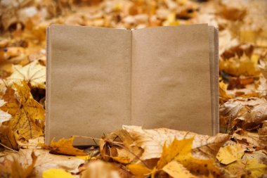 Autumn Park 'ın arka planında açık bir kitap. İşlem kağıdı