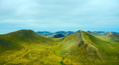 Kırsal yeşil tarlalardan ve hayvan otlaklarından başka bir şey olmayan tepeler ve vadiler. Orenburg, Rusya.