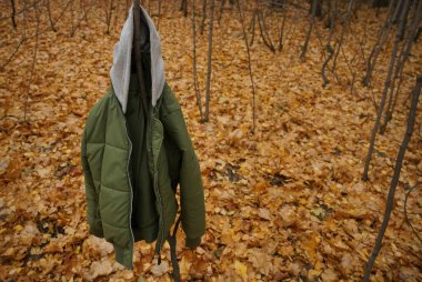 Ağaçta asılı yeşil ceket. Sonbahar mevsimi.