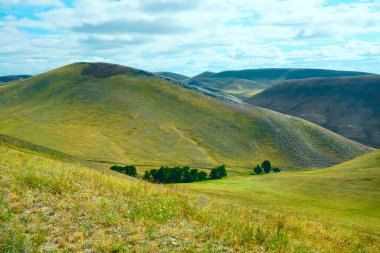 Kırsal yeşil tarlalardan ve hayvan otlaklarından başka bir şey olmayan tepeler ve vadiler. Orenburg, Rusya.
