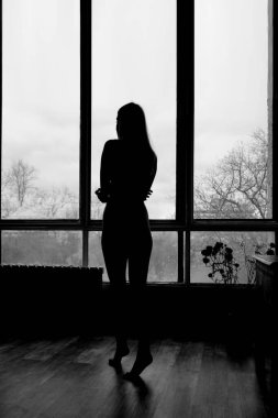 Pencerenin yanında duran kız silueti. Güzel bir kadın portresi. Ev rahatlığı. Duygular ve rahatlama. 