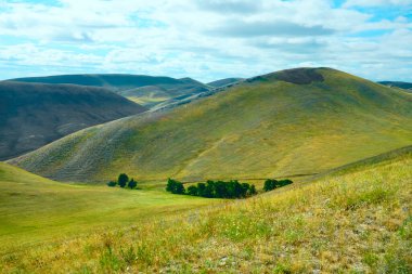 Kırsal yeşil tarlalardan ve hayvan otlaklarından başka bir şey olmayan tepeler ve vadiler. Orenburg, Rusya.