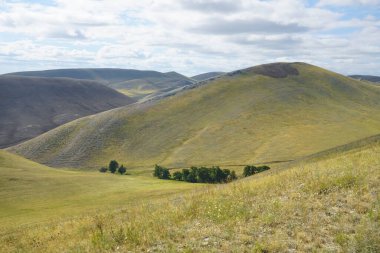 Kırsal yeşil tarlalardan ve hayvan otlaklarından başka bir şey olmayan tepeler ve vadiler. Orenburg, Rusya.