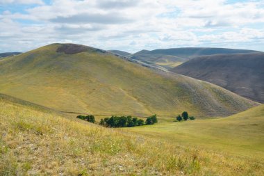 Kırsal yeşil tarlalardan ve hayvan otlaklarından başka bir şey olmayan tepeler ve vadiler. Orenburg, Rusya.