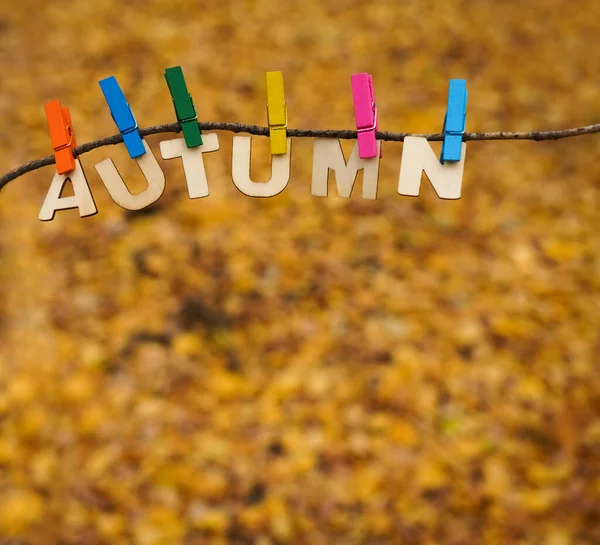 用别针挂在树枝上的木制信件 秋天的标志 — 图库照片