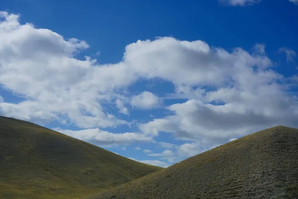 丘や動物のための農村部の緑の農地や放牧以外の何もの谷 ロシアのオレンブルク — ストック写真