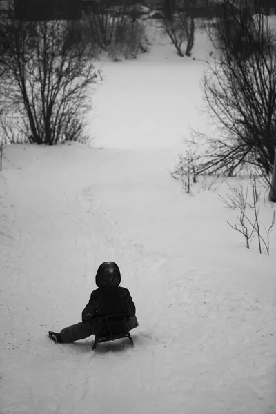 Dítě Saních Zimě Zadní Pohled — Stock fotografie