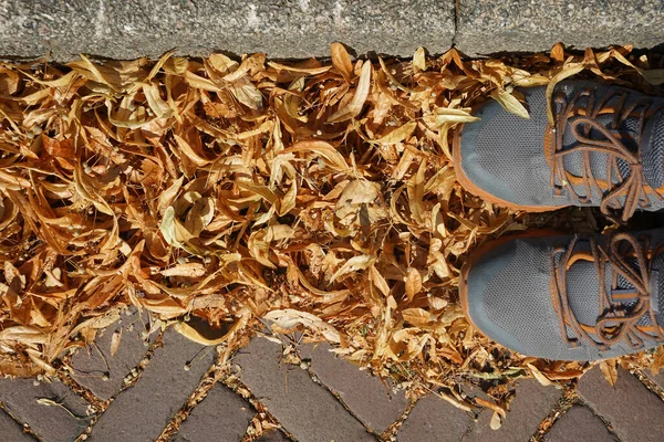 Gray Sneakers Fallen Autumn Leaves Man Shoes Standing Colorful Leaves — Stock Photo, Image