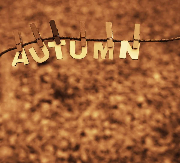 나무로 편지들이 가지에 아이디어 가을의 — 스톡 사진