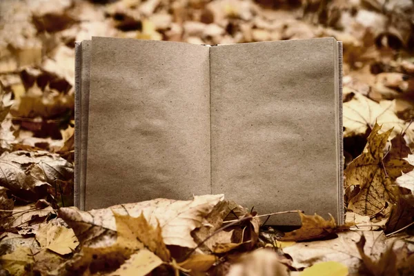 Open Book Autumn Park Background Craft Paper — Stock Photo, Image