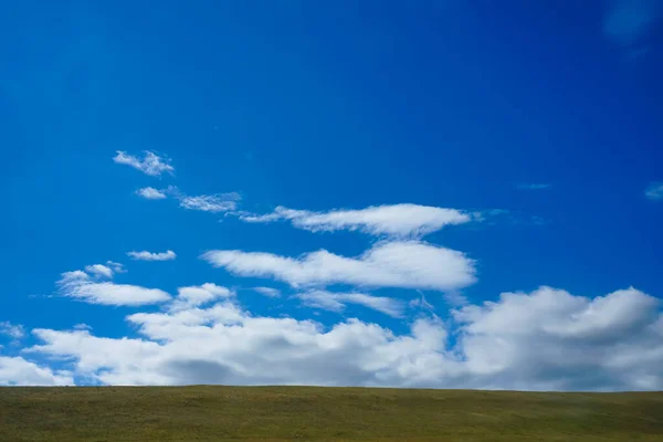 自然背景 绿草和多云的蓝天 — 图库照片