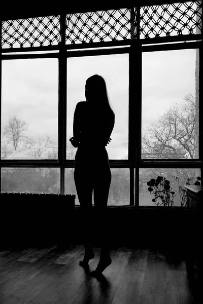 Силуэт Девушки Стоящей Окна Портрет Красивой Женщины Домашний Комфорт Эмоции — стоковое фото