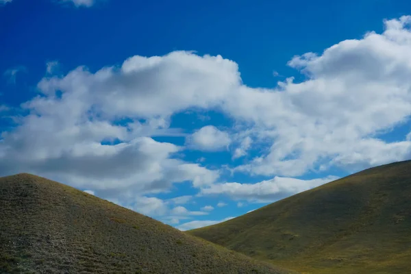 丘や動物のための農村部の緑の農地や放牧以外の何もの谷 ロシアのオレンブルク — ストック写真