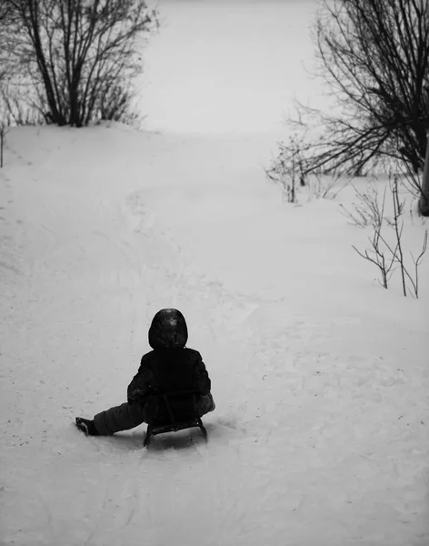 Kind Auf Dem Schlitten Winter Rückseite — Stockfoto