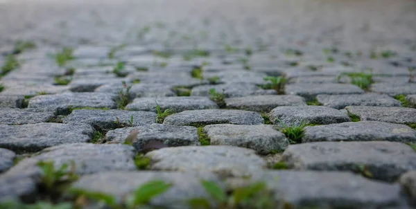 Paving stone and sunlight. Old street floor pavement background. Street tiles in europe and people walking. Cobbles at sunset. Cobbled Stones against european houses.