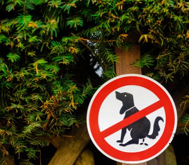 Köpekler için yasaklama işareti 