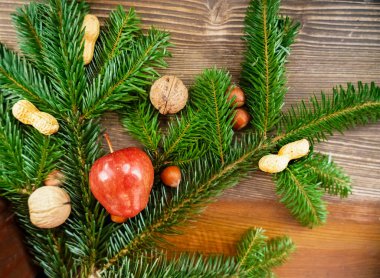 Koyu ahşap arka planda farklı fındıkları olan Noel ağacı dalları. Mutlu Noeller ve mutlu yıllar 2021.