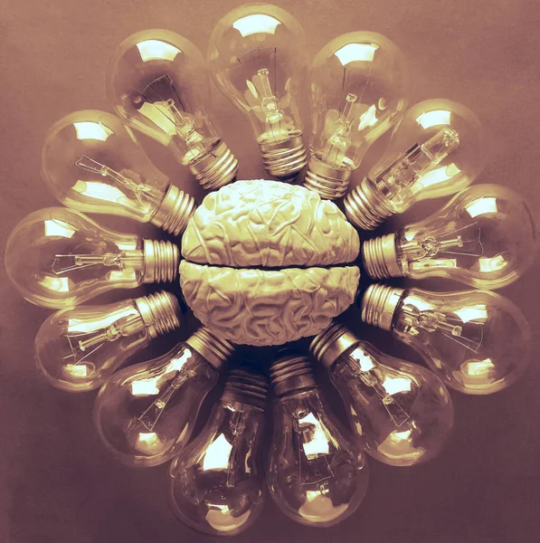 Model Human Brain Many Bulbs — Stock Photo, Image
