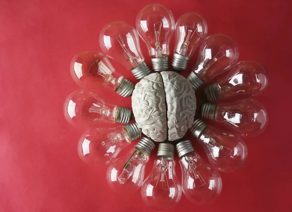 Modello Cervello Umano Con Molte Lampadine Intorno — Foto Stock