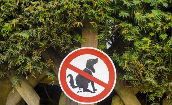 Förbud Tecken För Hundar — Stockfoto