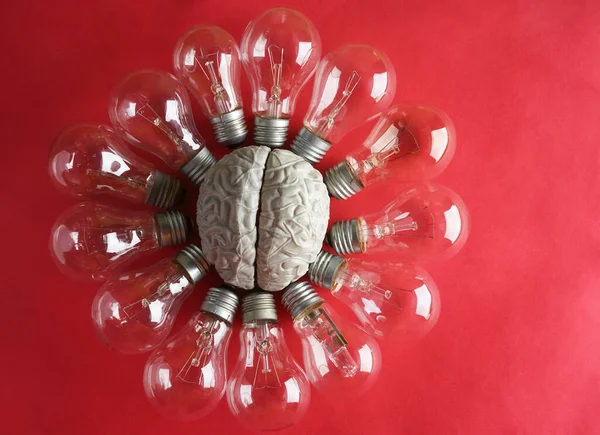Modello Cervello Umano Con Molte Lampadine Intorno — Foto Stock