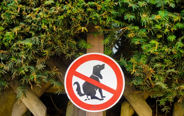 Förbud Tecken Hundar Inte Tillåtna Att Göra Sin Verksamhet Här — Stockfoto