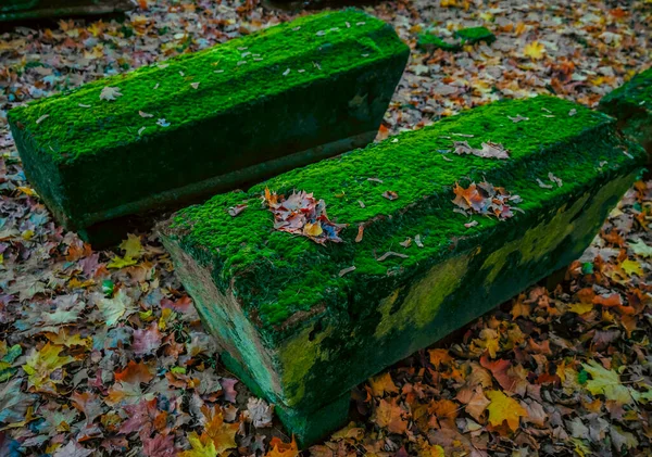 Green Moss Old Grave Stones Autumn Season — 스톡 사진