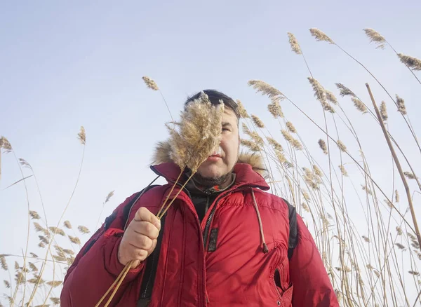 Winterporträt Des Menschen Heiseren Gras Winterzeit Schneebedecktes Schilf Blauer Himmel — Stockfoto