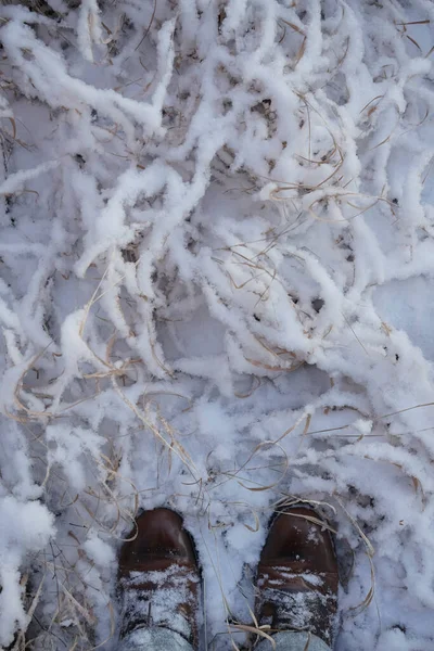 男式牛仔裤靴 站在草地上的人的脚 草皮上被雪覆盖着 冬天的季节 顶部视图 — 图库照片