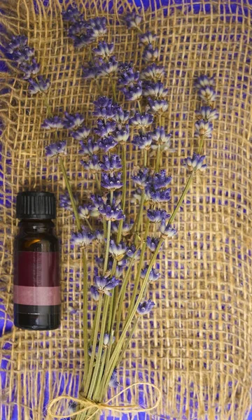 Bunch of lavender flowers and bottle of essential oil on sackcloth background in a spa composition.