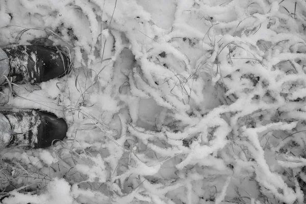 ジーンズを着た男性のブーツ 男たちの足が草の上に立っている 草は雪で覆われている 冬の季節だ トップビュー — ストック写真