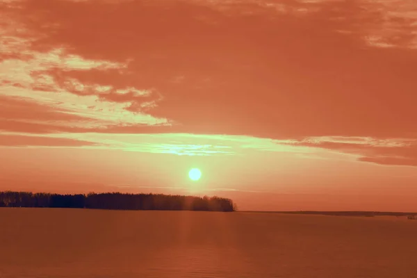 Silueta Bosque Contra Puesta Sol Naranja Cielo Soleado — Foto de Stock