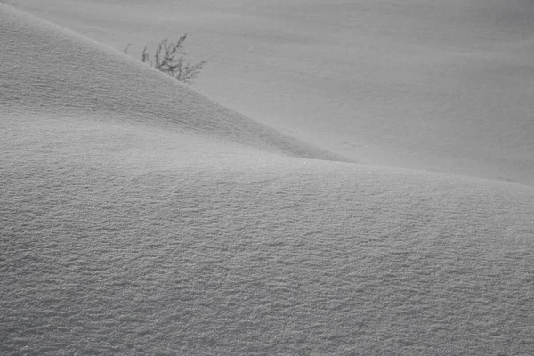 Cumuli Neve Isolati Fondo Naturale Invernale Con Cumuli Neve Neve — Foto Stock